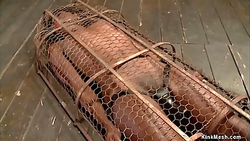 Ebony slave gets vibrated in cage