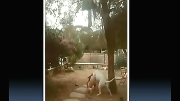 compilation sexy lol