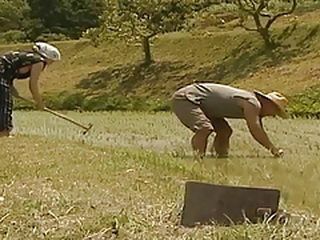 Japanese Village Fuck Fest: A Lewd Exploration of Nippon Porn