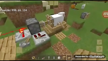 OVELHA QUICANDO NO VIBRADOR