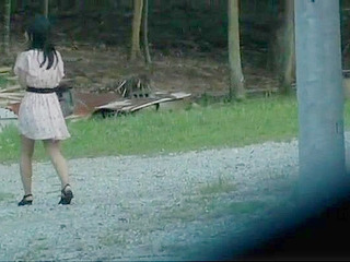 Japanese Girl Goes Wild with Risky Outdoor Masturbation Caught on Camera
